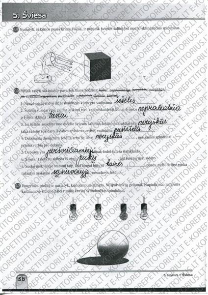36 Puslapis