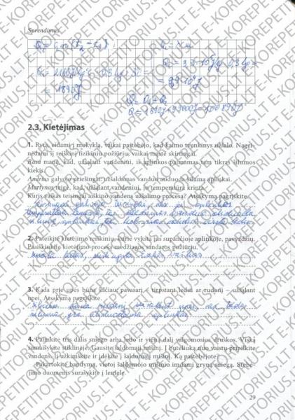 29 Puslapis
