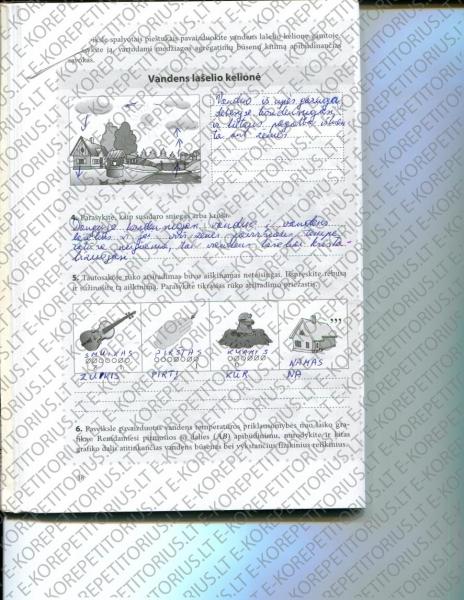 38 Puslapis